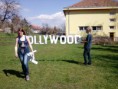 /album/hollywood-sedlec-2011/fotografie0276-jpg/